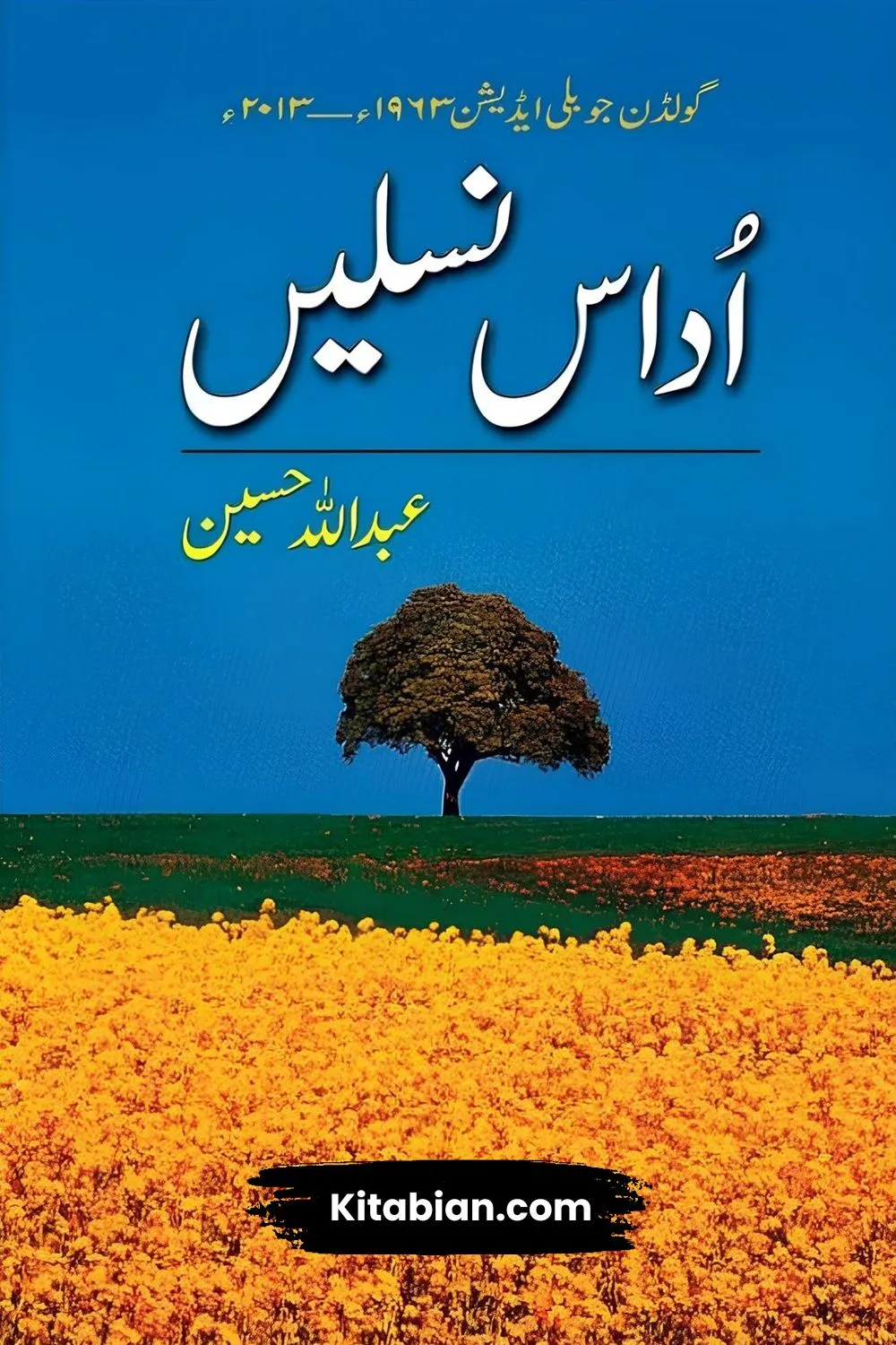 udas nasalein Novel